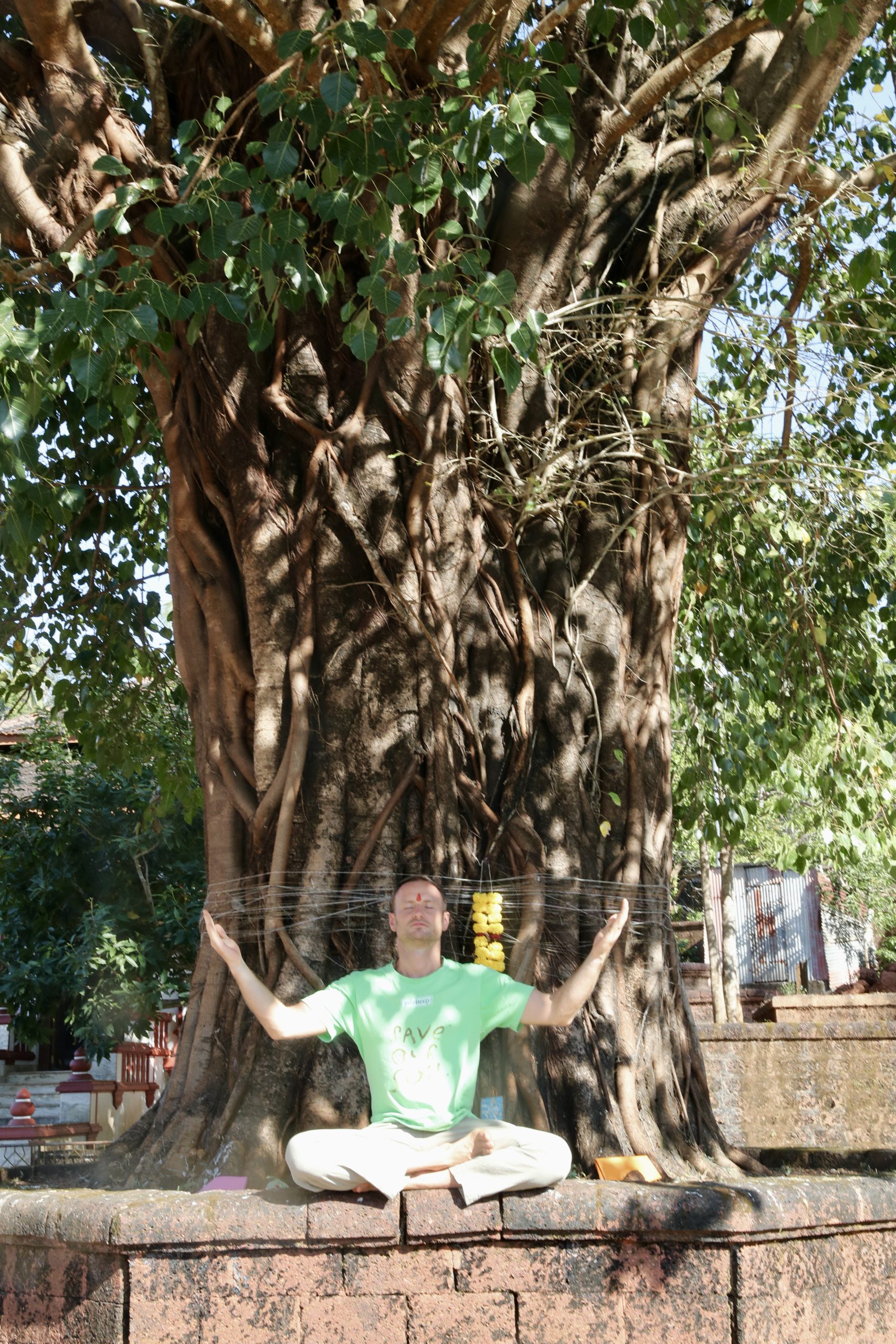Meditation beneath the sacred peepal tree